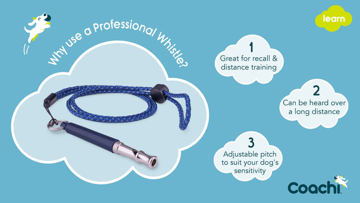 Coachi | Professional Dog Training Whistle for Recall & Distance Control