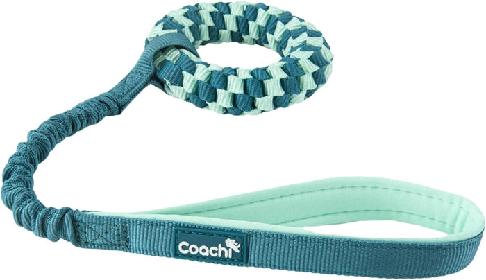 Teal dog leash with a knotted handle on a white background