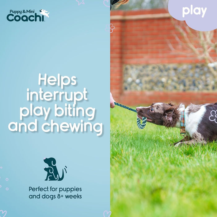 Dog playing with a toy on grass, with promotional text about interrupting play biting and chewing.