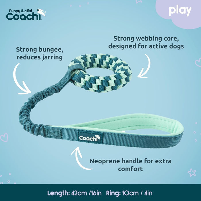 Dog leash with features highlighted on a blue background, branded as Coachi.