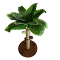 CocoPalm Cat Tree | Durable Coconut Rope Scratching Post for Cats
