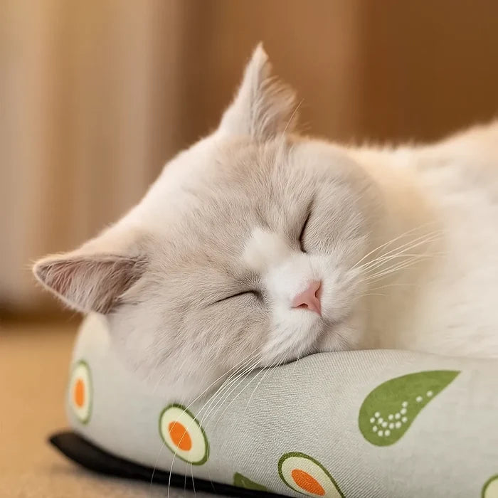 Cooling Cat Bed for Summer – Breathable Non Slip Cat Sleeping Mat