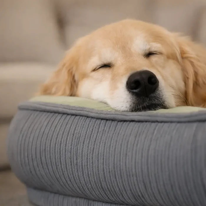 Cooling Dog Bed & Cat Bed – Breathable Washable Pet Cooling Mat