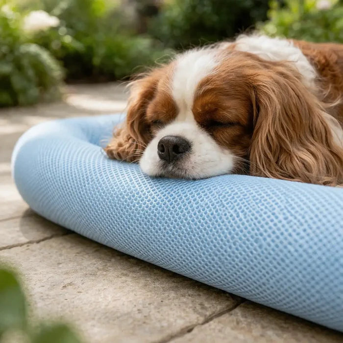 Cooling Dog Bed for Summer – Breathable Non Slip Cooling Mat for Dogs