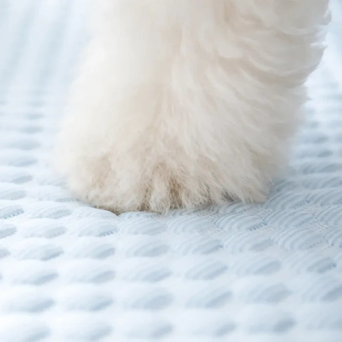 Cooling Dog Bed for Summer with Pillow – Breathable Cooling Mat for Dogs