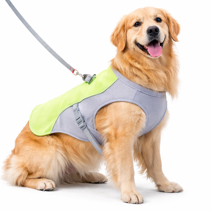 Cooling Dog Vest for Summer – Lightweight Heat Relief Vest for Dogs