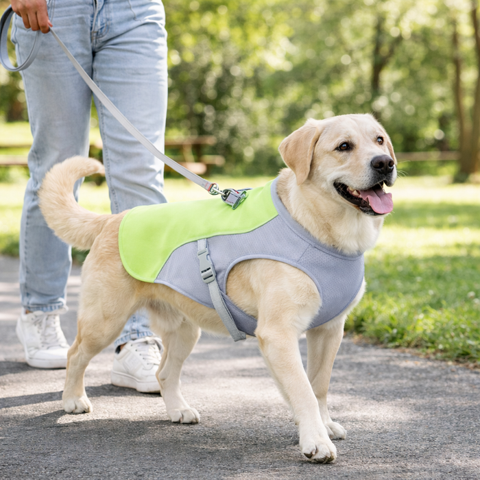Cooling Dog Vest for Summer – Lightweight Heat Relief Vest for Dogs