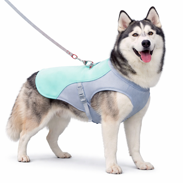 Cooling Dog Vest for Summer – Lightweight Heat Relief Vest for Dogs