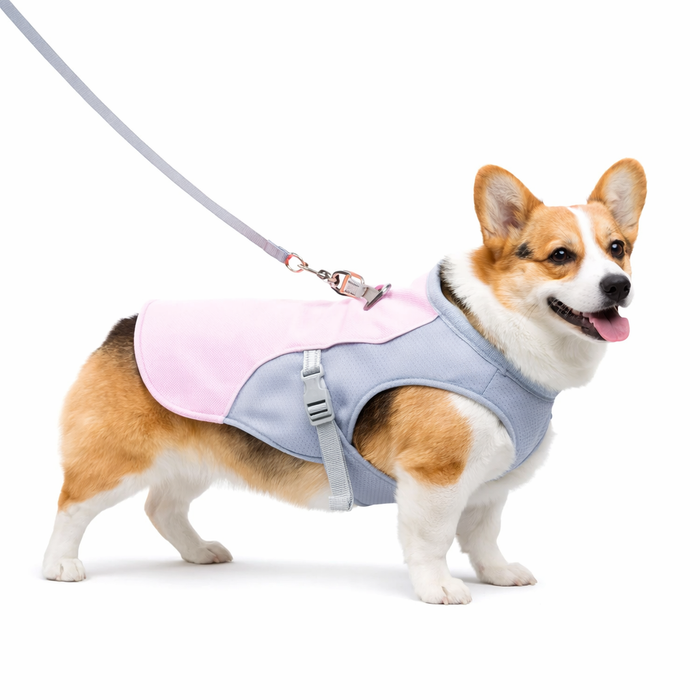 Cooling Dog Vest for Summer – Lightweight Heat Relief Vest for Dogs