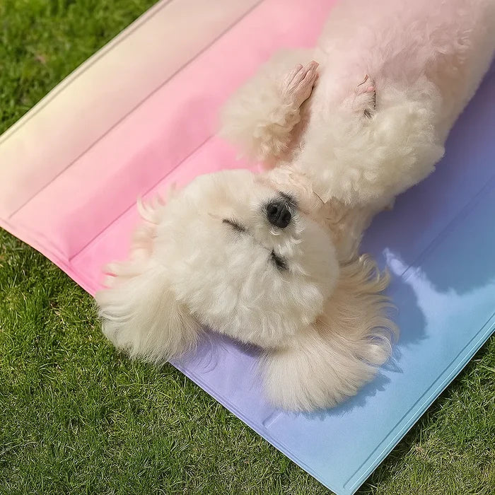 Cooling Mat for Dogs & Cats – Gel Cooling Pet Mat for Summer