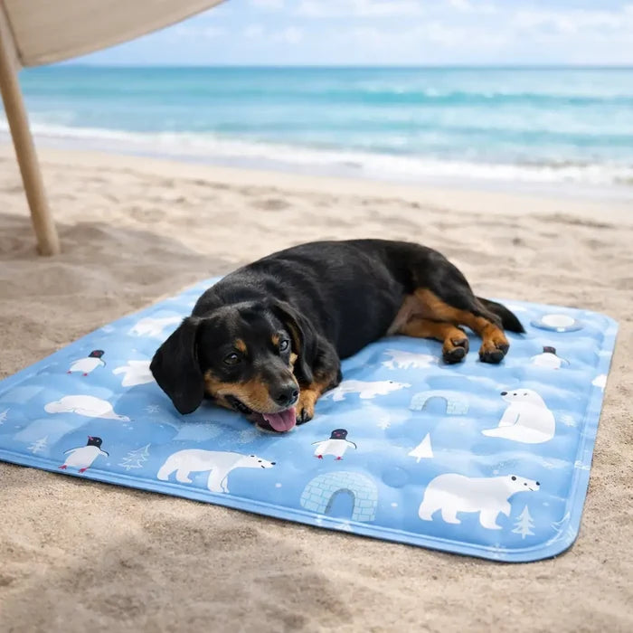 Cooling Mat for Dogs – Durable PVC Ice Cooling Pad for Summer