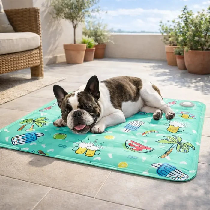 Cooling Mat for Dogs – Durable PVC Ice Cooling Pad for Summer