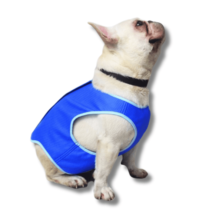 Cooling Vest for Dogs – Breathable Summer Dog Cooling Jacket