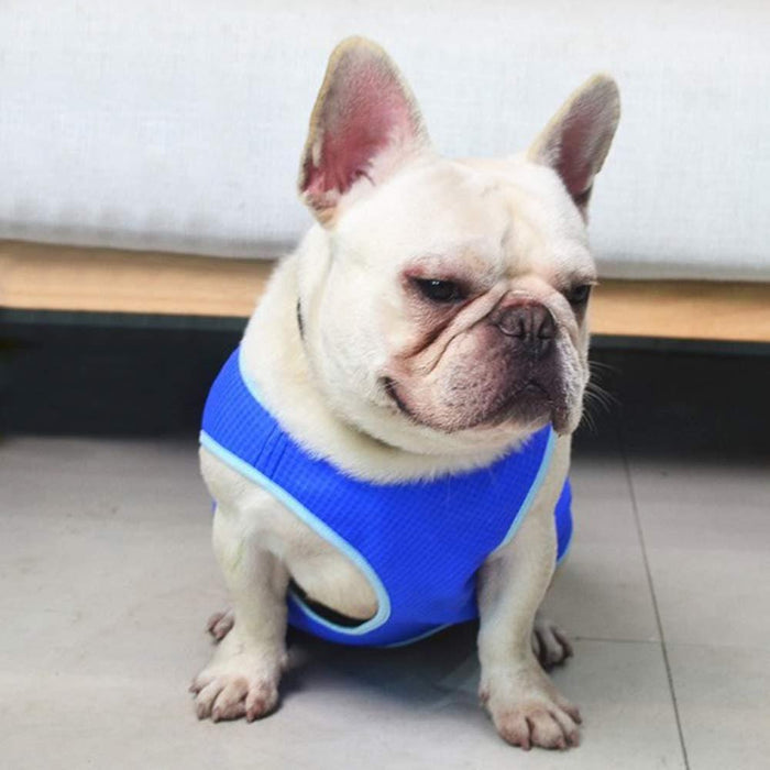 Cooling Vest for Dogs – Breathable Summer Dog Cooling Jacket
