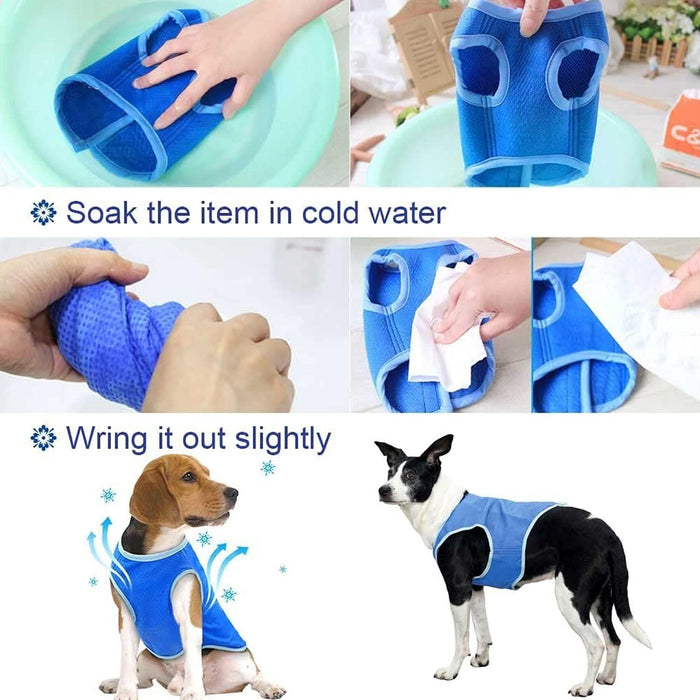 Cooling Vest for Dogs – Breathable Summer Dog Cooling Jacket