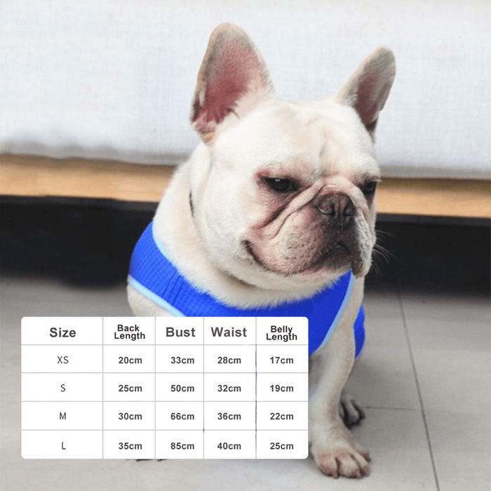 Cooling Vest for Dogs – Breathable Summer Dog Cooling Jacket