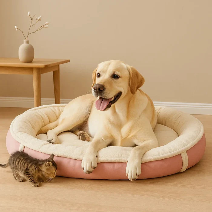 Cozy Nest Dog Bed | Washable Velvet Bed for Large & XL Dogs
