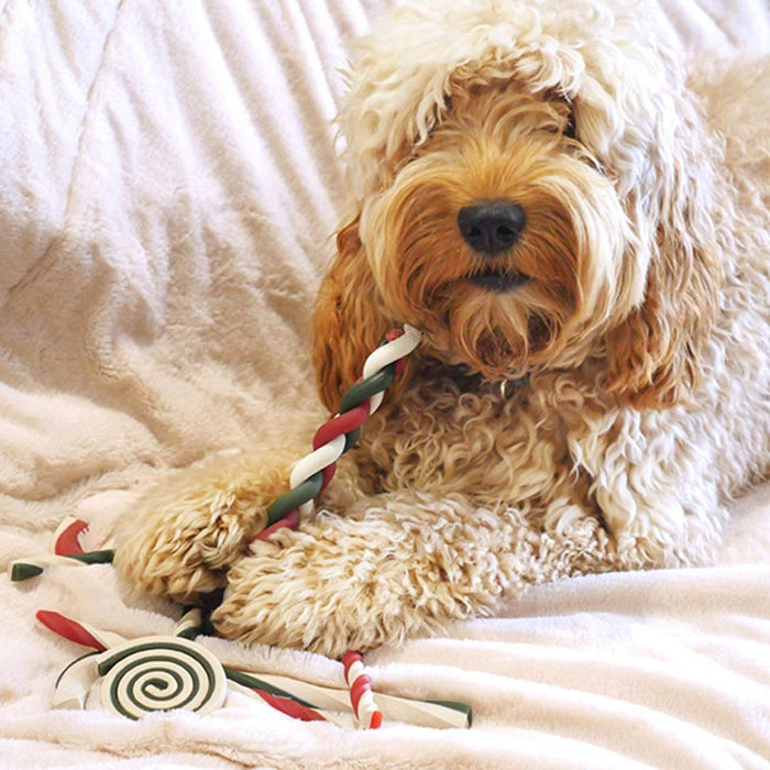 Cupid & Comet Christmas Dog Treat Pack | Rawhide Free Bumper Gift Bag