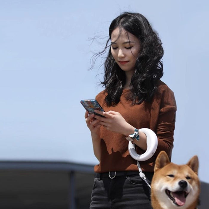 Cute Automatic Retractable Pet Leash with Hand Holding Rope