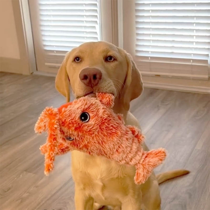 Dancing Lobster Toy | Interactive Pet Toy – Anxiety Relief & Fun Play