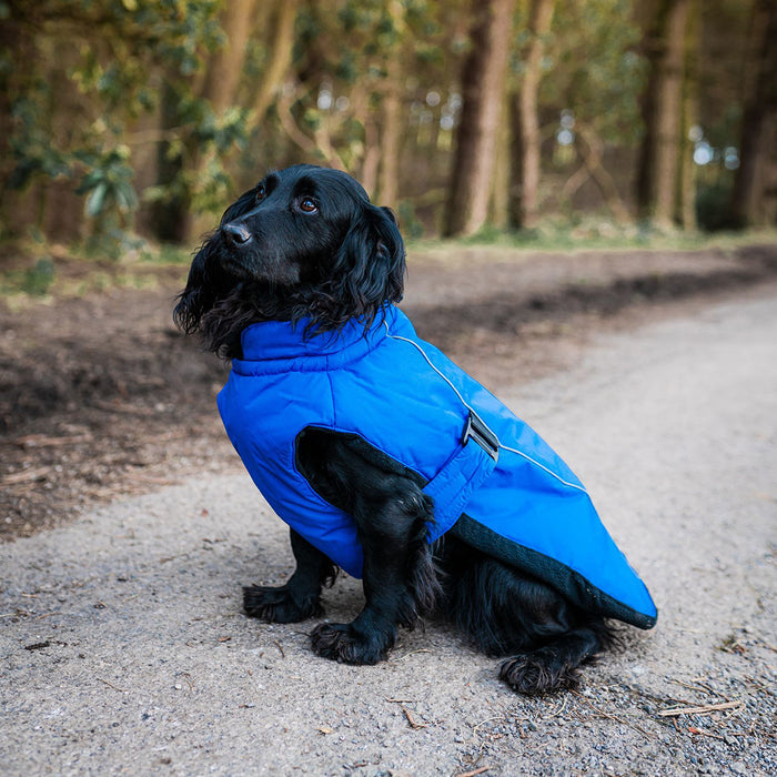 Danish Design Sports Luxe Dog Coat | Waterproof, Windproof & Thermal - Blue