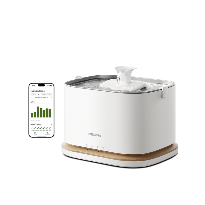 Dockstream 2 Smart Fountain