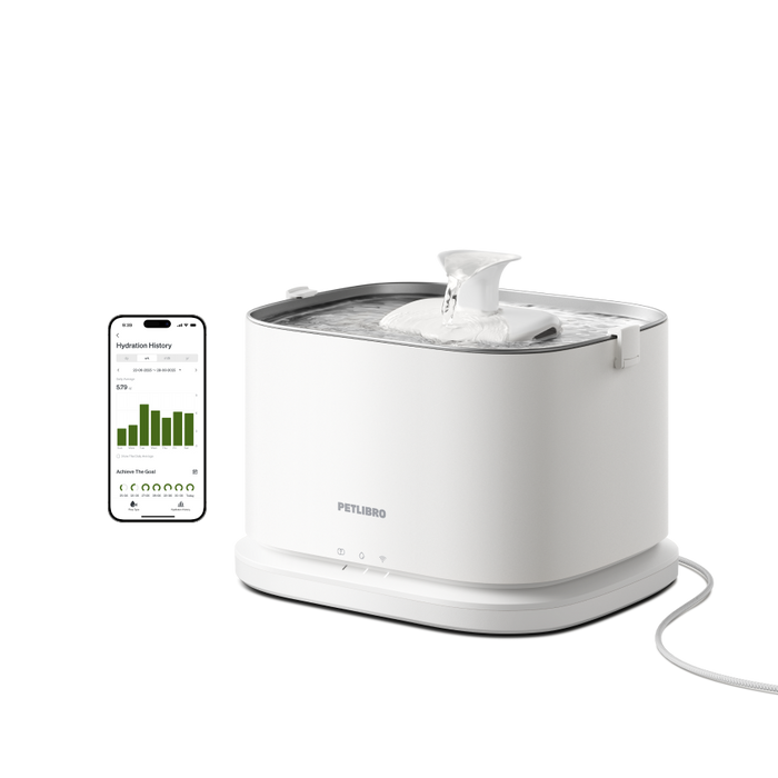Dockstream 2 Smart Fountain