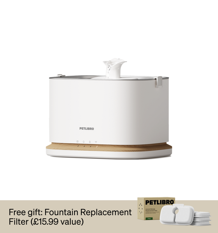 Dockstream 2 Smart Fountain