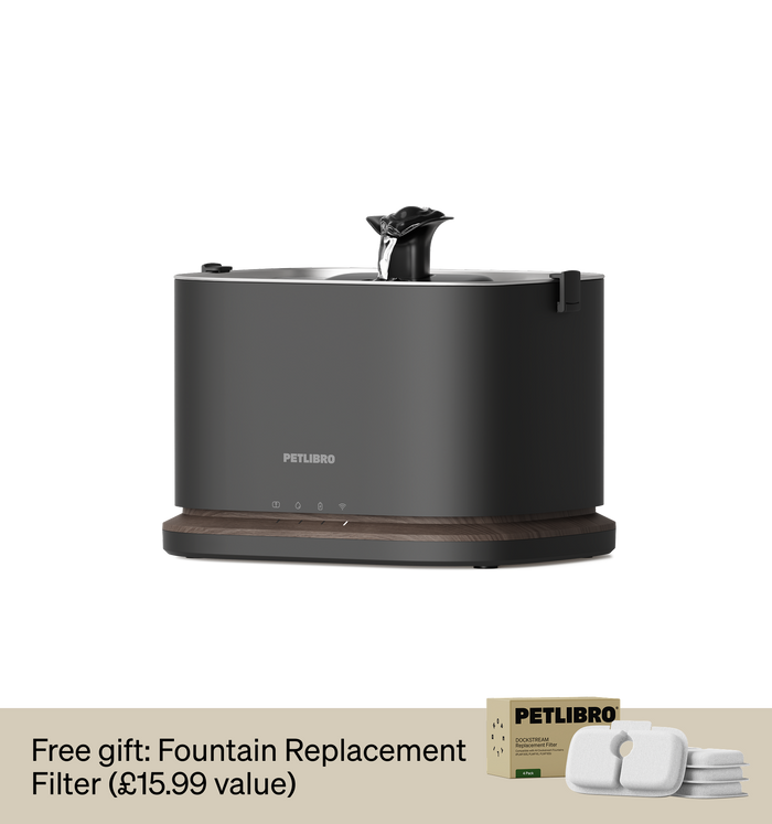 Dockstream 2 Smart Fountain
