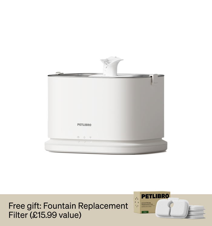 Dockstream 2 Smart Fountain