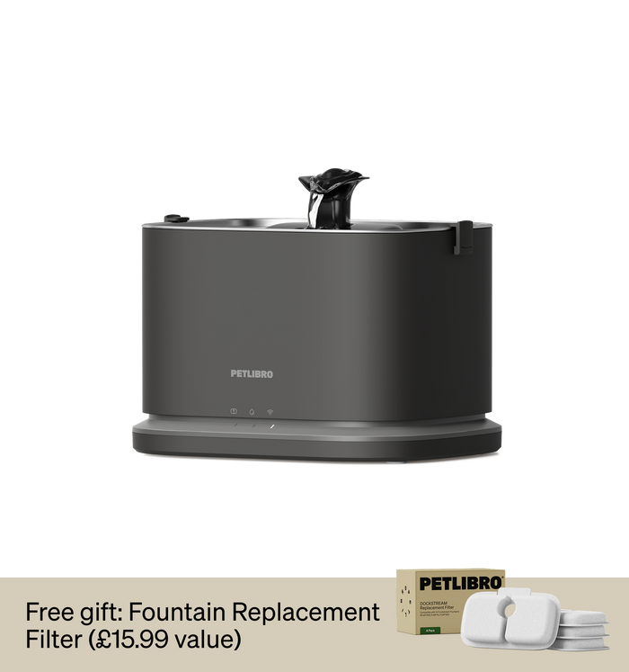 Dockstream 2 Smart Fountain