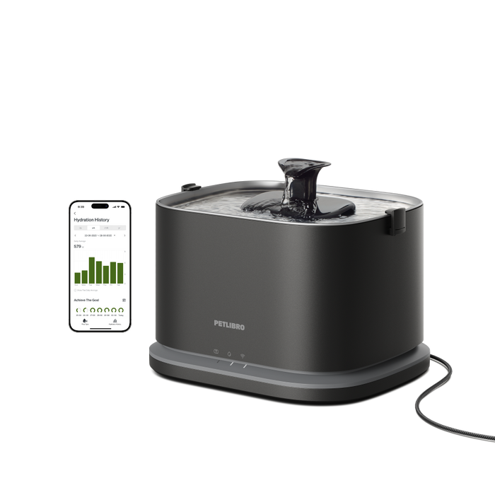 Dockstream 2 Smart Fountain