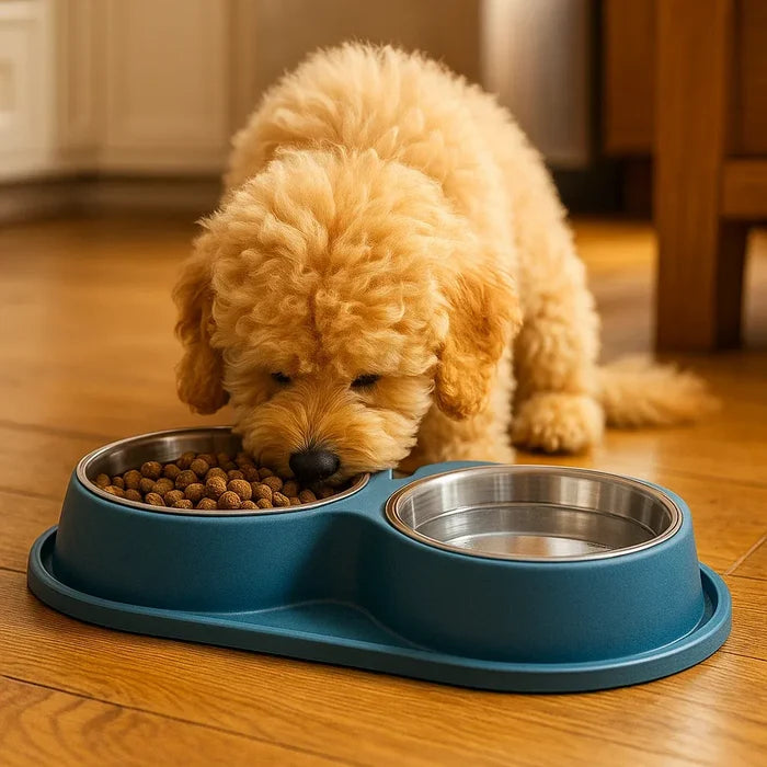 Dog Bowl Double Set with Water Container | Non-Slip & Easy to Clean