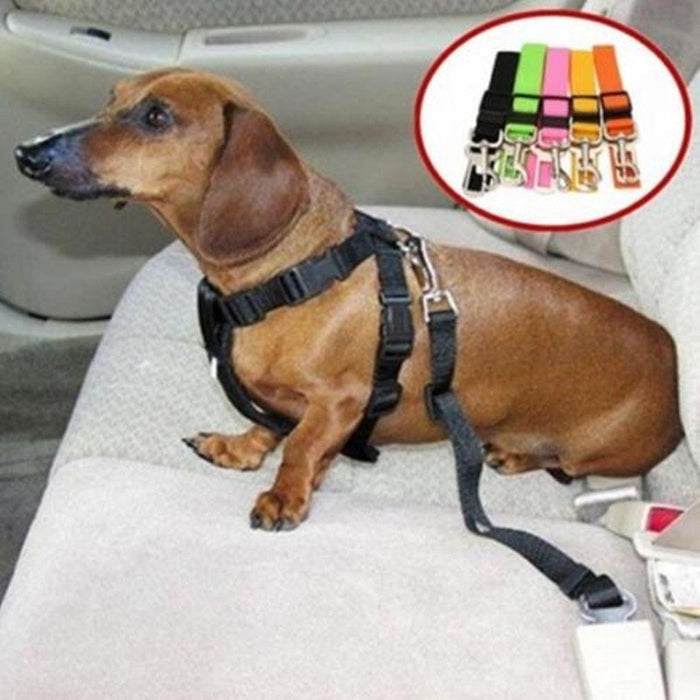 Dog Car Safety Seat Belt | Adjustable Pet Seat Belt for Secure Travel