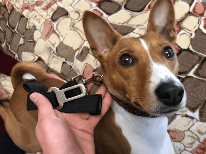 Dog Car Safety Seat Belt | Adjustable Pet Seat Belt for Secure Travel