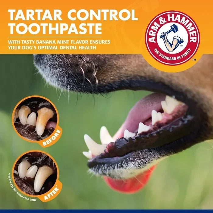 Dog & Cat Dental Care Kit with Toothbrush & Toothpaste for Daily Oral Hygiene