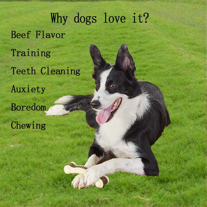 Dog Chew Bone | Durable Nylon Toy – Aggressive Chewer Dental Care