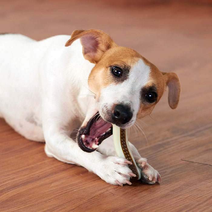 Dog Chew Bone | Durable Nylon Toy – Aggressive Chewer Dental Care