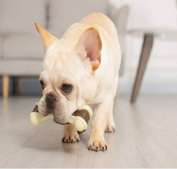 Dog Chew Bone | Durable Nylon Toy – Aggressive Chewer Dental Care