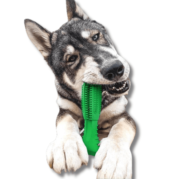 Dog Chew Toy for Aggressive Chewers – Durable Molar Teething & Dental Toy