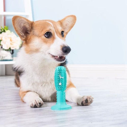 Dog Chew Toy for Aggressive Chewers – Durable Molar Teething & Dental Toy