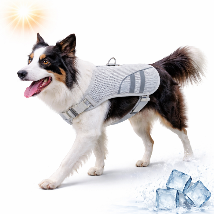 Dog Cooling Vest for Hot Weather – Breathable Reflective Cooling Jacket for Summer
