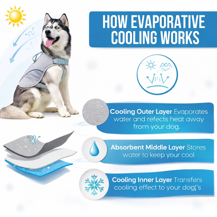 Dog Cooling Vest for Hot Weather – Breathable Reflective Cooling Jacket for Summer