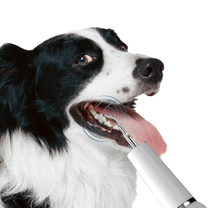 Dog Dental Cleaning Tool | Plaque & Tartar Remover Kit for Pets