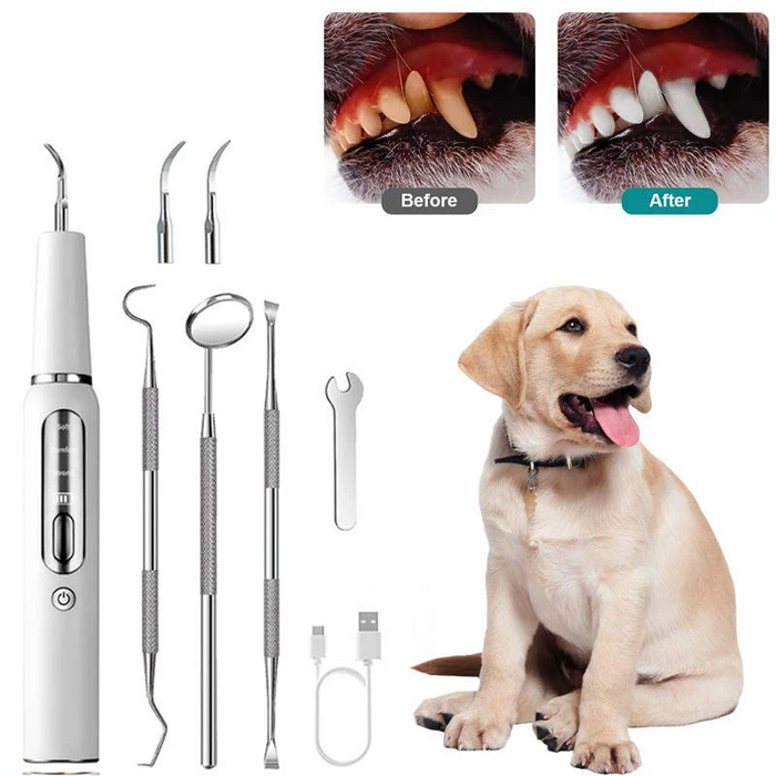 Dog Dental Cleaning Tool | Plaque & Tartar Remover Kit for Pets