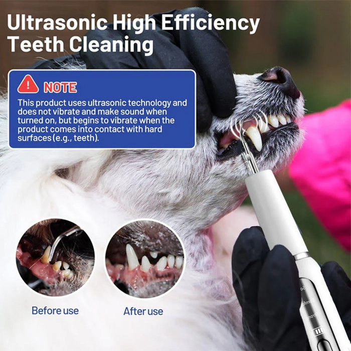 Dog Dental Cleaning Tool | Plaque & Tartar Remover Kit for Pets