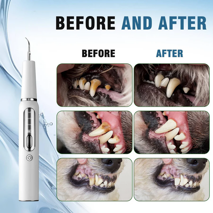 Dog Dental Cleaning Tool | Plaque & Tartar Remover Kit for Pets