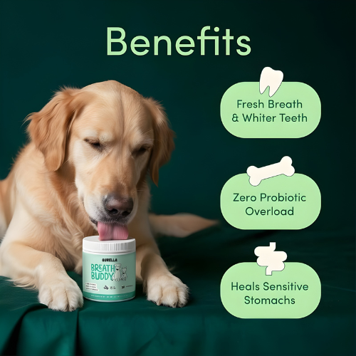 Dog Dental Powder | Breath Buddy  – Fresh Breath & Whiter Teeth