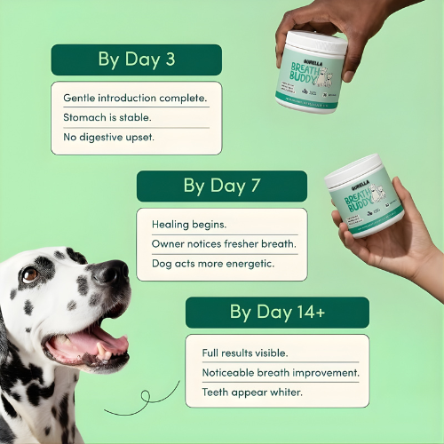 Dog Dental Powder | Breath Buddy  – Fresh Breath & Whiter Teeth