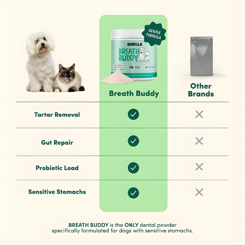 Dog Dental Powder | Breath Buddy  – Fresh Breath & Whiter Teeth
